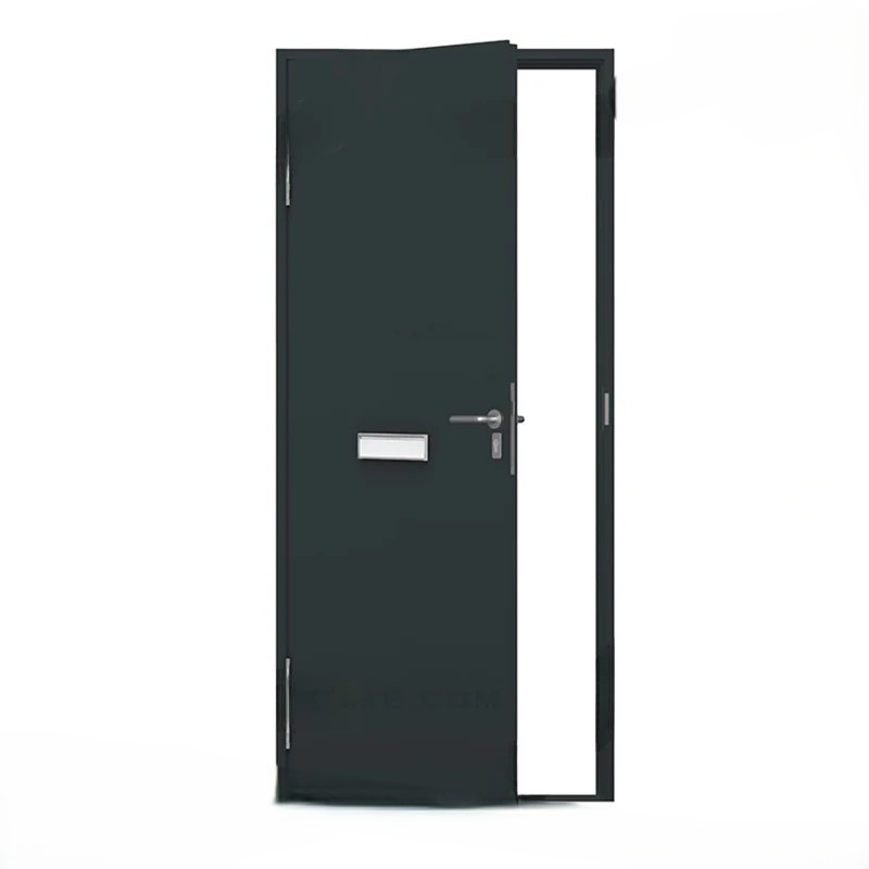 Steel Door for Home Renovation Projects | MT-SD-0151